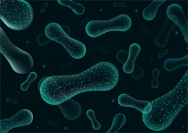 Microbiome – Your Inner Ecosystem